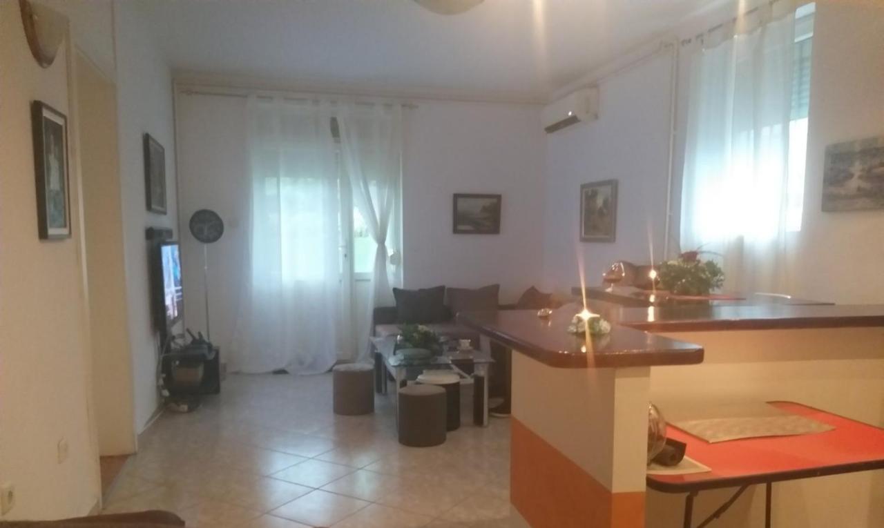 Vrnjačka BanjaApartman Nv公寓 外观 照片