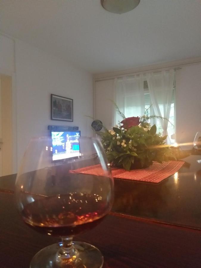 Vrnjačka BanjaApartman Nv公寓 外观 照片