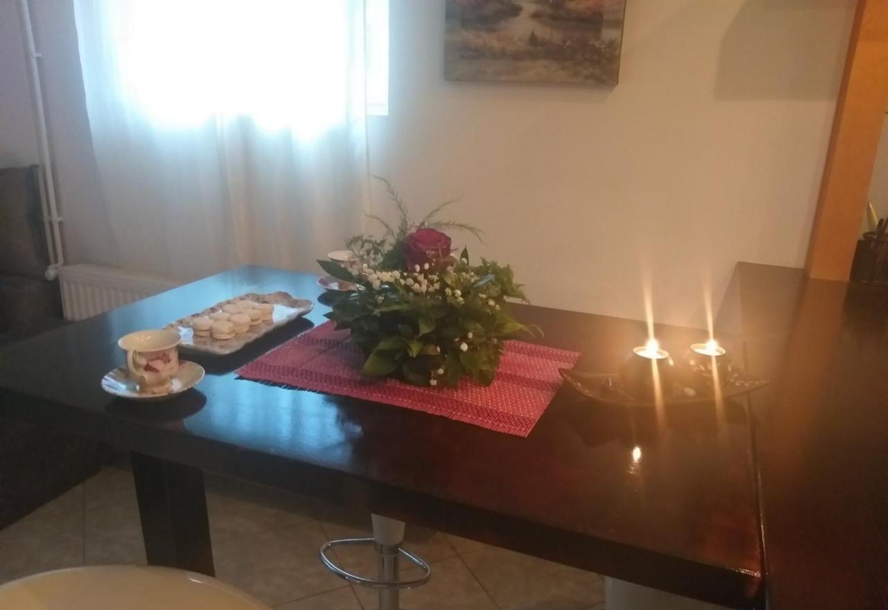 Vrnjačka BanjaApartman Nv公寓 外观 照片